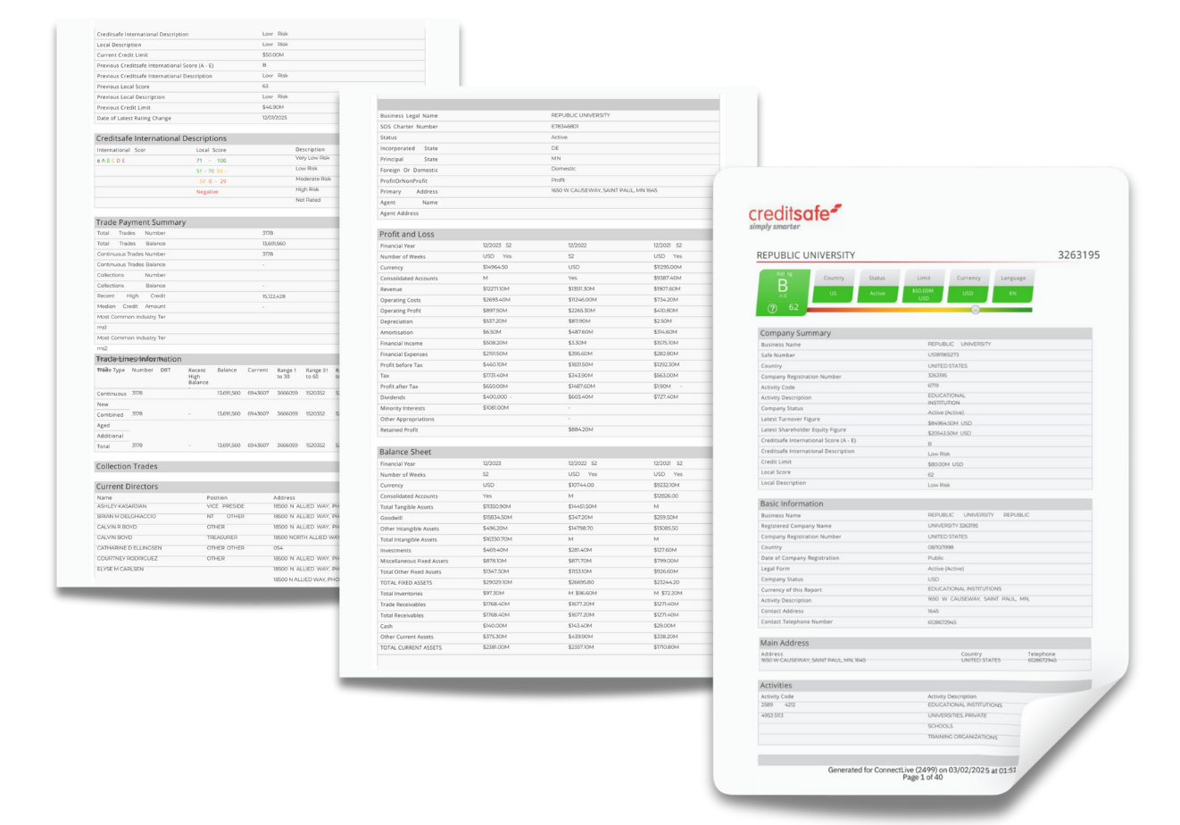 sample of detailed credit report from creditsafe from ezyCollect
