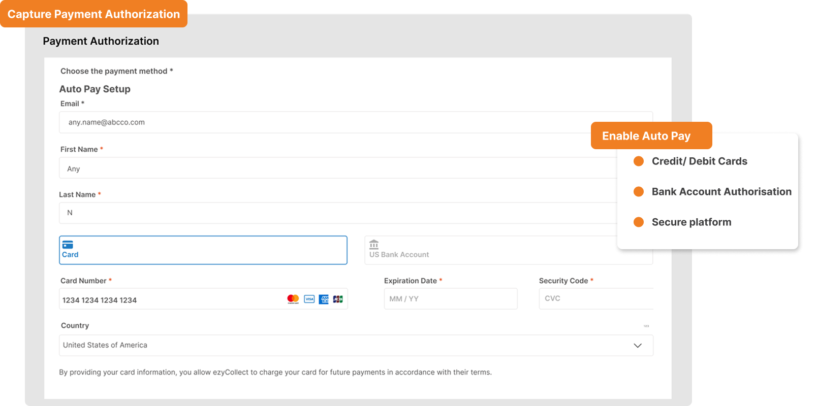 Payment Authorisation tab in ezyCollect Credit Application Form